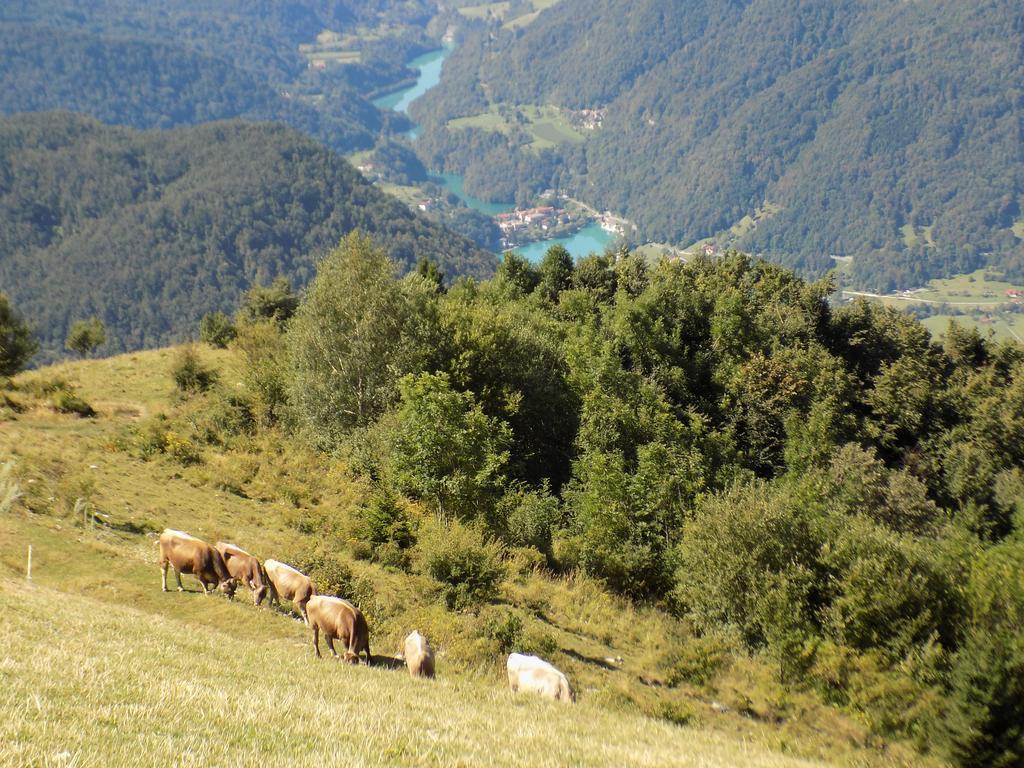 Holiday Home Na Planini Tolmin Zewnętrze zdjęcie